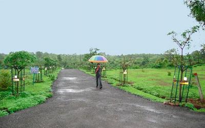 Meadows Amenities 1
