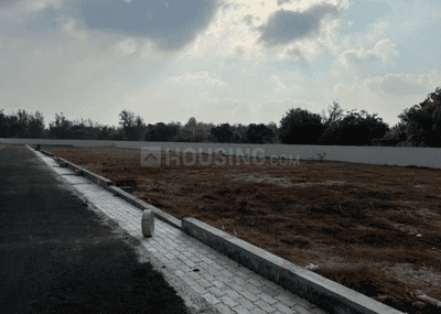 Tashvi Plot 2