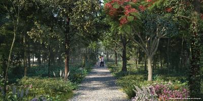Project Image of 900.0 - 2967.0 Sq.ft Residential Plot Plot for buy in Godrej Woodland