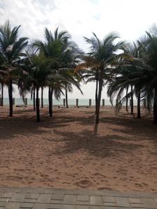 Project Image of 1052.0 - 2425.0 Sq.ft Residential Plot Plot for buy in Marina Bay City