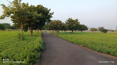 Project Image of 1250.0 - 5056.0 Sq.ft Residential Plot Plot for buy in JK Sendhur Nagar