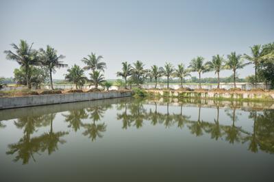 Project Image of 903.74 - 4717.07 Sq.ft Residential Plot Plot for buy in Suryo Udyog Green Village