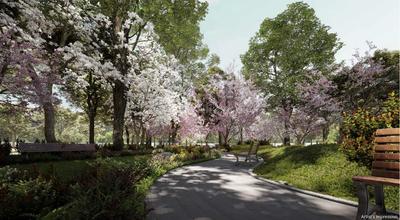 Chartered Woodpecker Amenities 3