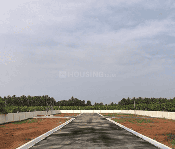 Project Images