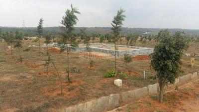 Project Image of 1500.0 - 6000.0 Sq.ft Residential Plot Plot for buy in Meridian The Hills