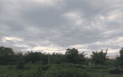 Project Image of 1248.61 - 1983.79 Sq.ft 2 BHK Apartment for buy in Tattvam Midori