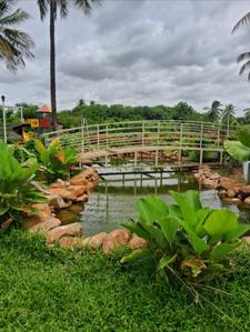 Project Image of 1350.0 - 2700.0 Sq.ft Residential Plot Plot for buy in Srr Fortune Gachibowli Paradise County Phase 5