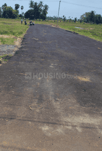 Project Images
