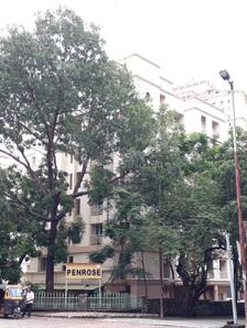 Project Image of 595.0 - 619.0 Sq.ft 1 BHK Apartment for buy in Hiranandani Estate Penrose
