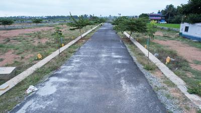 Ambika Daffodils Elevation 1