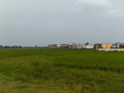 Project Image of 720.0 - 4000.0 Sq.ft Residential Plot Plot for buy in Asha Enclave