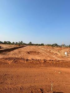 Habitat Silver Oak Plot 2