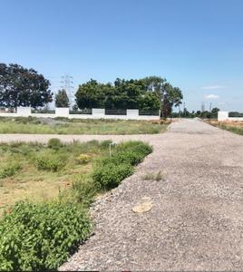 Project Image of 525.5 - 3221.0 Sq.ft Residential Plot Plot for buy in Livify Tidel Highway