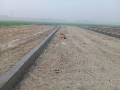 Project Image of 800.0 - 2000.0 Sq.ft Residential Plot Plot for buy in Bargad Sarju Vihar