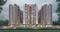 Royal Urbana Elevation 2