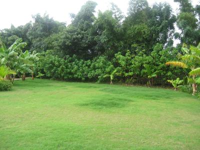 Project Image of 2700.0 - 8000.0 Sq.ft Residential Plot Plot for buy in Blue Smilee Anandavana I