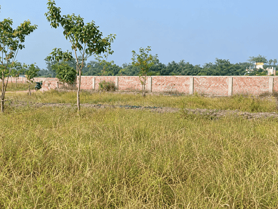 Project Image of 720.0 - 3600.0 Sq.ft Residential Plot Plot for buy in Rasapunja Township Phase 1