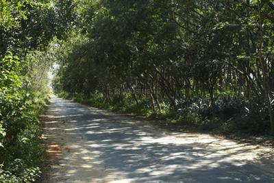 Project Image of 1200.0 - 2400.0 Sq.ft Residential Plot Plot for buy in Maxworth Max Blossom