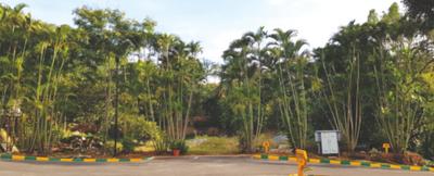 Project Image of 1500.0 - 2400.0 Sq.ft Residential Plot Plot for buy in Kanakasri Opulence