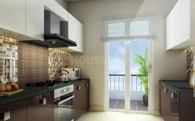 Parakh Golden Maple Kitchen 1
