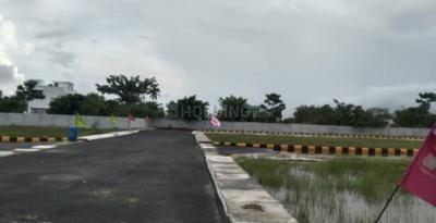 Project Image of 800.0 - 1498.0 Sq.ft Residential Plot Plot for buy in Premier Housing Empire City