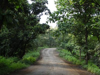 Project Image of 0.0 - 10999.86 Sq.ft Residential Plot Plot for buy in Fortune Green Valley