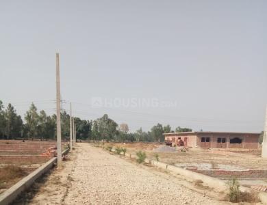 Project Images