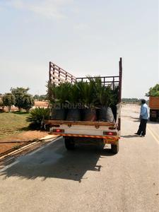 Project Image of 1200.0 - 3999.0 Sq.ft Residential Plot Plot for buy in Excel Oxygen