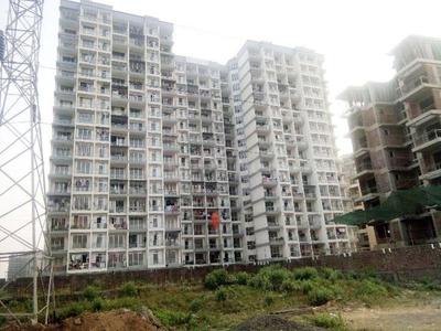 Project Image of 0.0 - 635.0 Sq.ft 1 BHK Apartment for buy in Amber Harmony