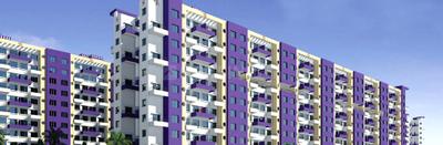Project Image of 628.0 - 971.0 Sq.ft 1 BHK Apartment for buy in 11 K County Phase II Prapti Associates