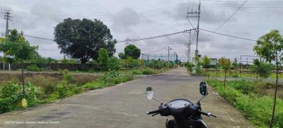 Project Images