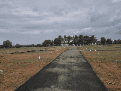 Project Images