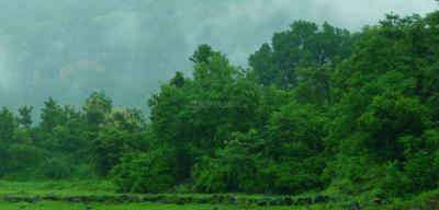 Project Image of 21780.0 - 43560.0 Sq.ft Residential Plot Plot for buy in Greenland The Sun Valley