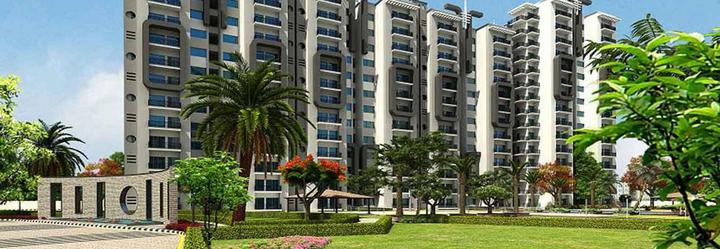 AFOWO Raksha Addela - Image 3