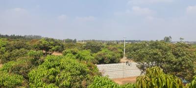 Project Image of 5178.0 - 11433.0 Sq.ft Residential Plot Plot for buy in PK Mango Nest Farmlands