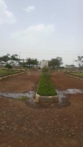 Project Images