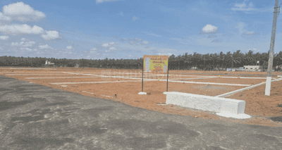 Project Images