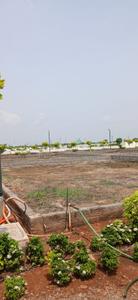Project Image of 1647.0 - 4536.0 Sq.ft Residential Plot Plot for buy in Serene Life