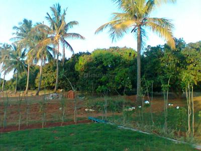 Project Image of 1108.0 - 2400.0 Sq.ft Residential Plot Plot for buy in Shriram Godhuli