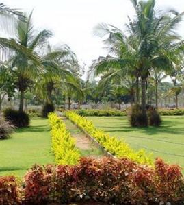 Project Image of 1200.0 - 4800.0 Sq.ft Residential Plot Plot for buy in Icon Valley