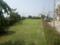 IBD Raisina Plot 2