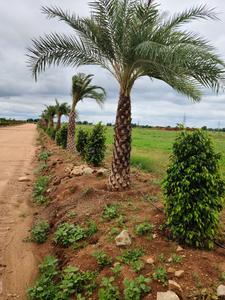 Sree Laxmi Balaji Township Plot 4