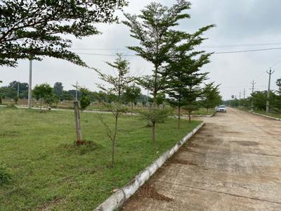 Project Image of 801.0 - 7497.0 Sq.ft Residential Plot Plot for buy in Sai Shanmukha Priya