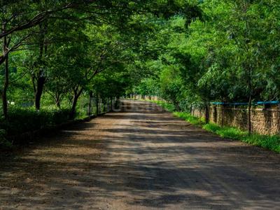 Project Image of 5000.0 - 40000.0 Sq.ft Residential Plot Plot for buy in Royal Purandar