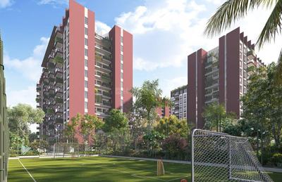 Project Image of 1120.0 - 3370.0 Sq.ft 2 BHK Apartment for buy in Cynosure Sunny Groves