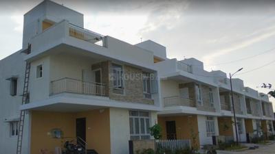 Project Images