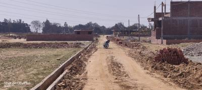Project Image of 0.0 - 1000.0 Sq.ft Residential Plot Plot for buy in Smap Palm Residency