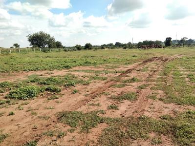 Project Image of 1319.98 - 3657.79 Sq.ft Residential Plot Plot for buy in Building True Greens 3 Phase 2