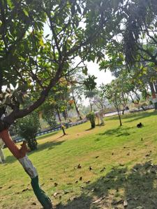 Project Image of 1700 Sq.ft 3 BHK Duplex for sale in Omex City for Rs. 10000000
