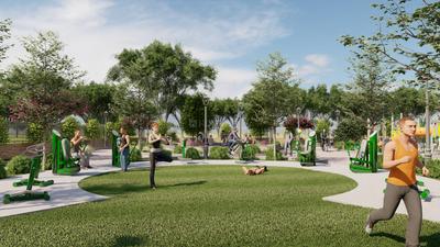 Royal Paramount Landscape Garden and Tree Planting 3